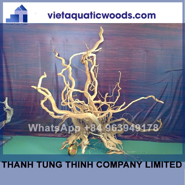 Aquascaping Driftwood