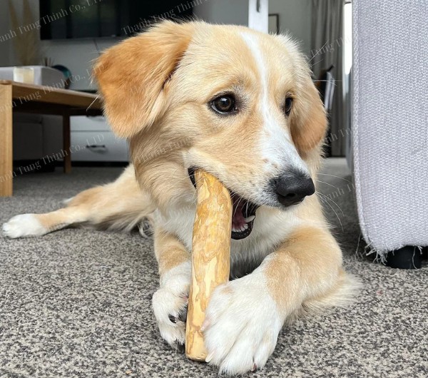 Coffee dog chew