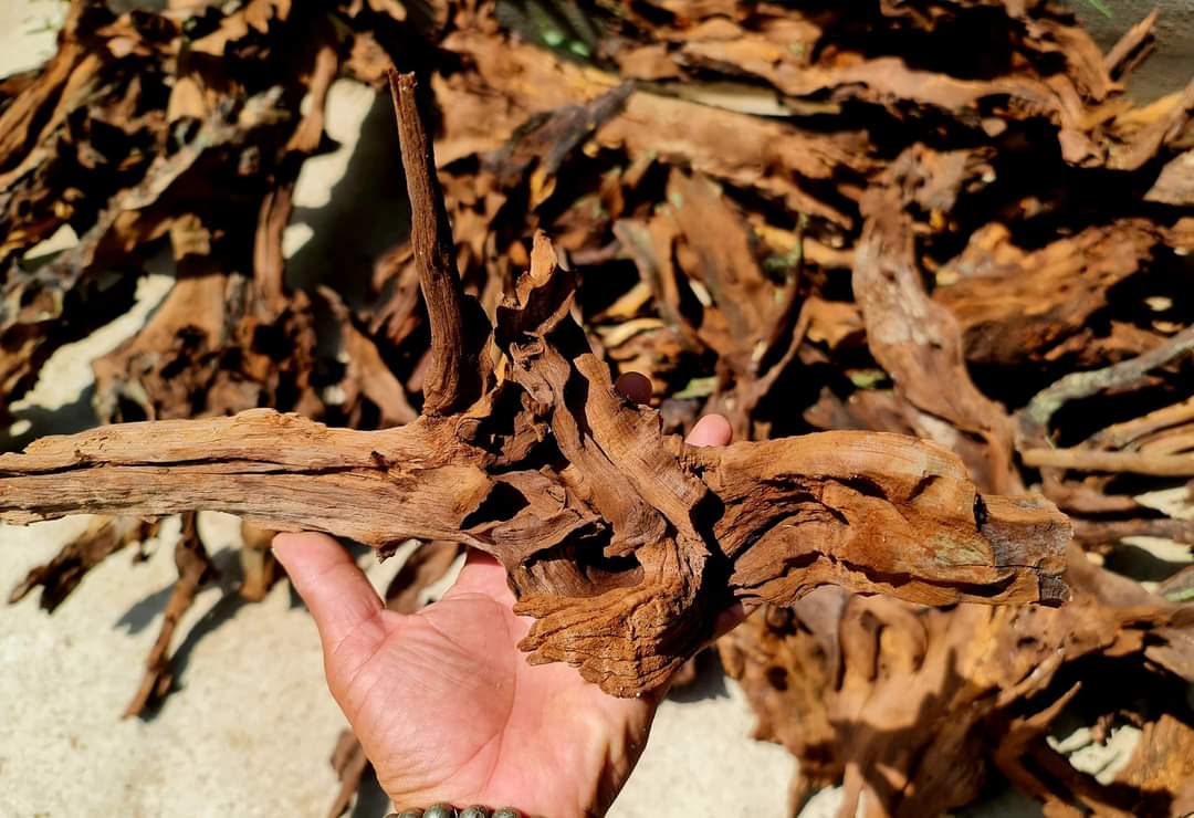 bulk orders driftwood