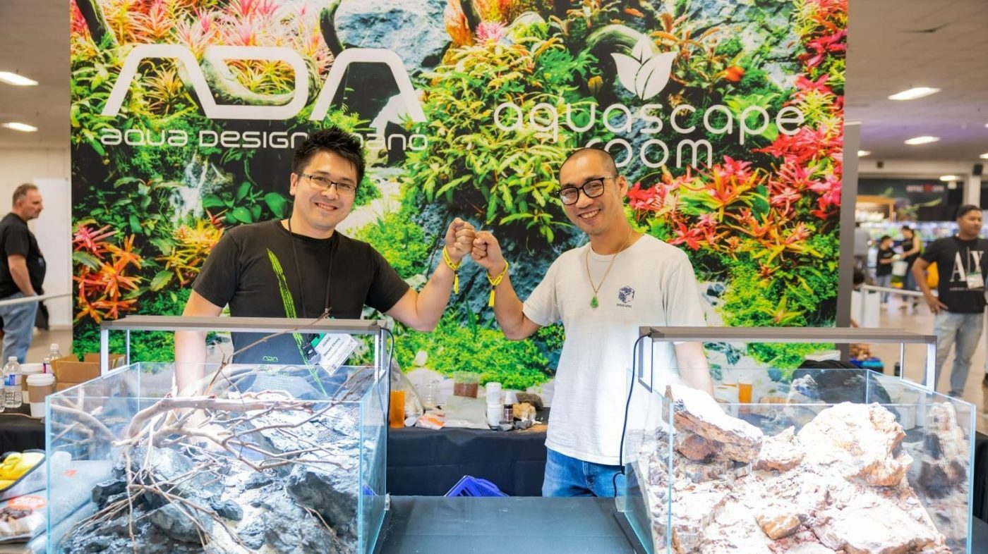 Aquascaping events help drive interest in driftwood