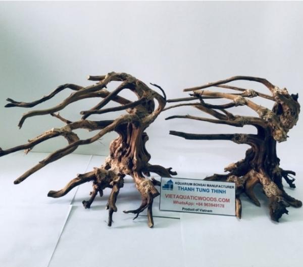 bonsai driftwood