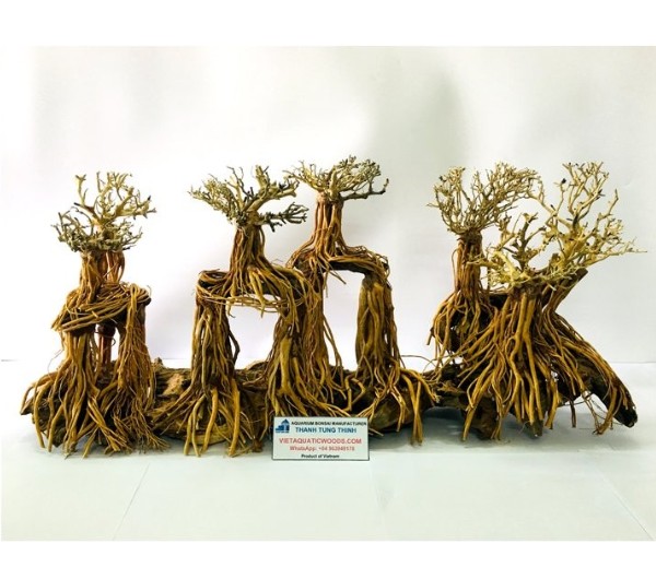 bonsai driftwood