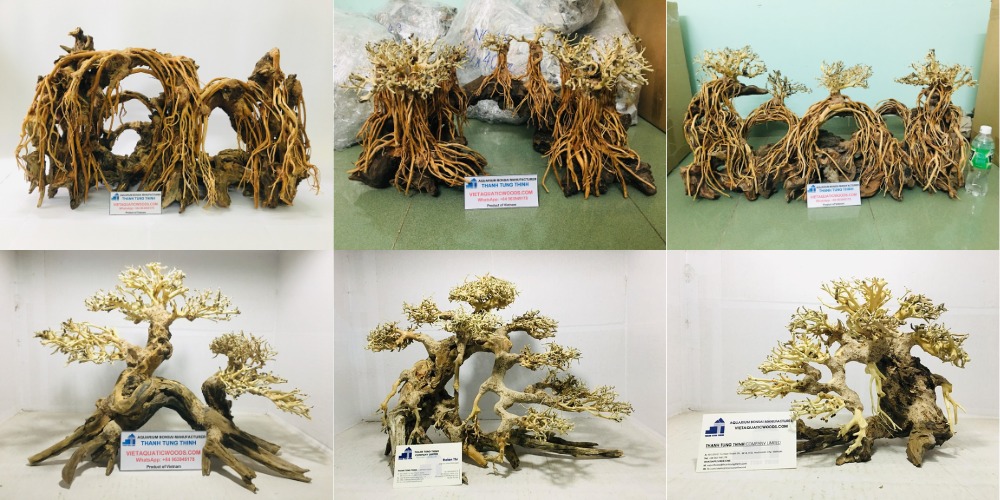 Many types and sizes of bonsai driftwood