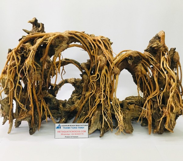 bonsai driftwood