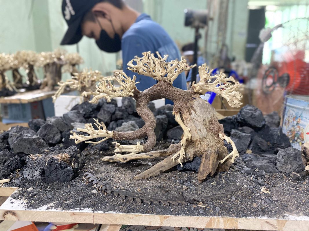 Our bonsai driftwood is thoroughly cleaned and meticulously handcrafted