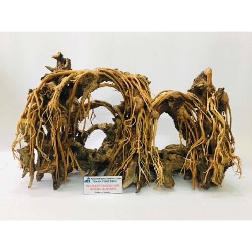 bonsai driftwood