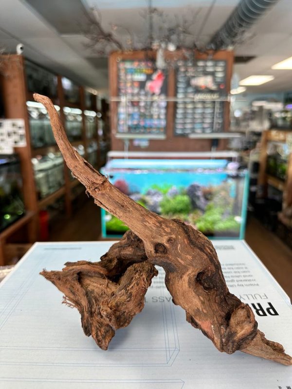 Mopani driftwood for reptile