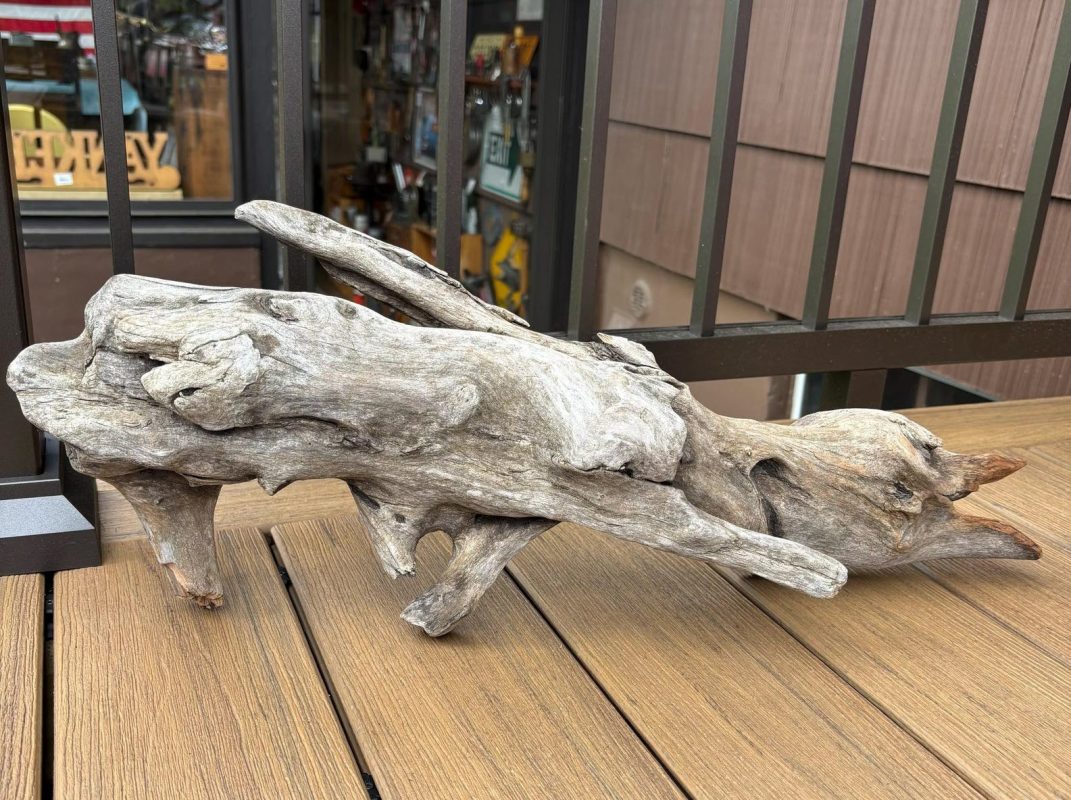 cedar driftwood