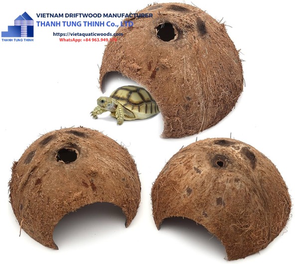 coconut shell hideout