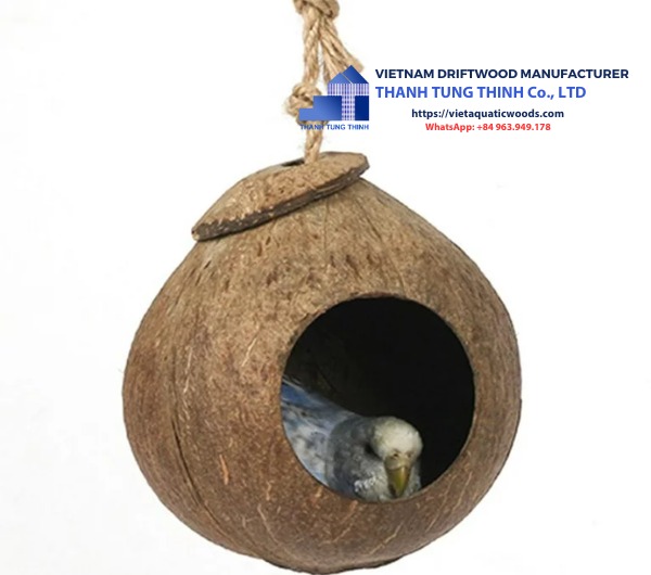 coconut hideout