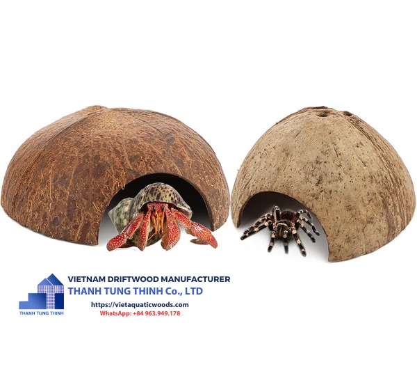 coconut hideout