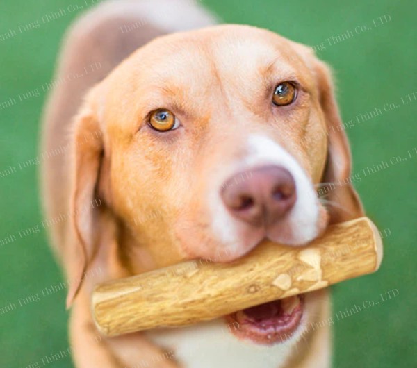 Coffee wood dog chew
