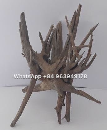 Comnguoi Driftwood Supplier