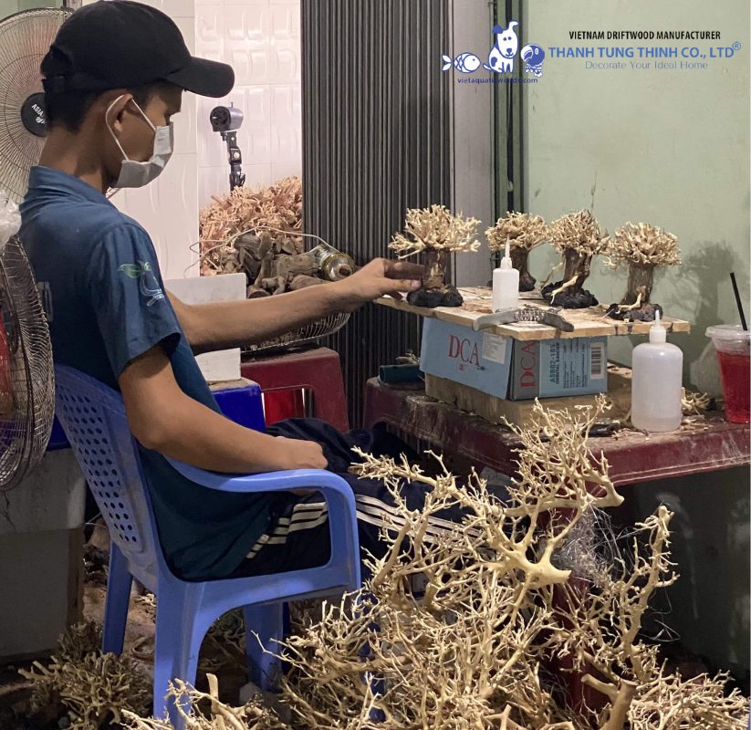 Thanh Tung Thinh - The trustworthy bonsai driftwood manufacturer in Vietnam