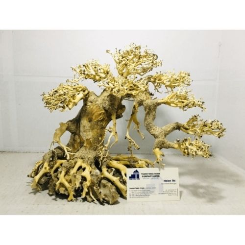 bonsai driftwood manufacturer