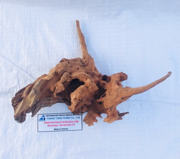 driftwood