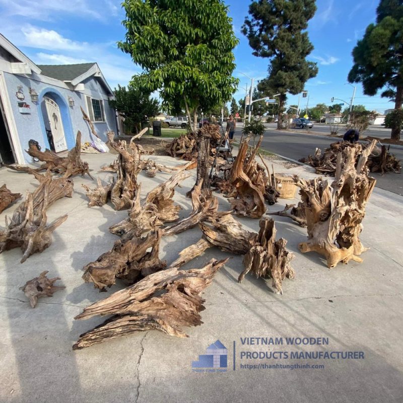 Various sizes and shapes of driftwood from the suppliers