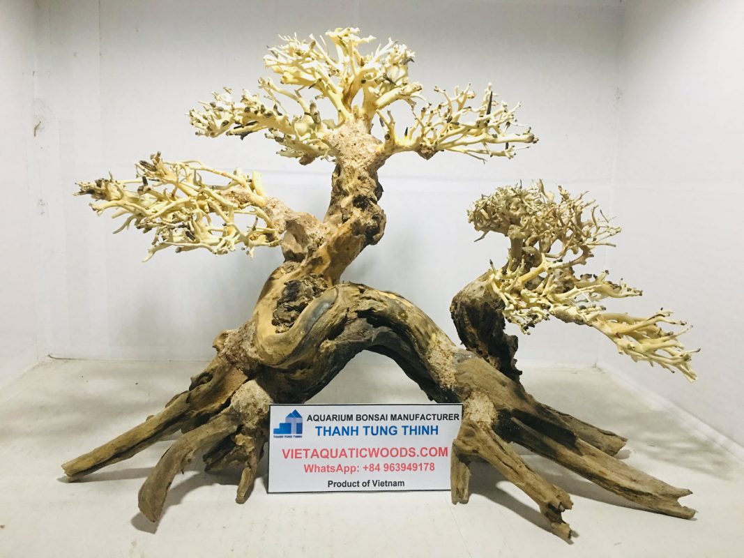 High-quality bonsai driftwood