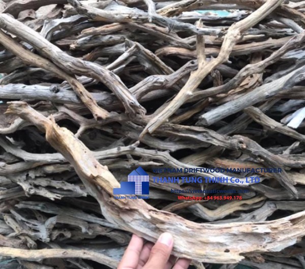 Linhsam Driftwood Supplier