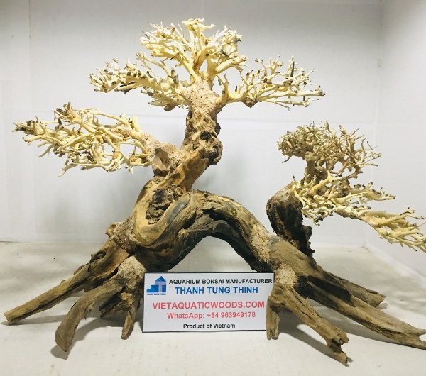 Large and Extra-Large Bonsai Driftwood