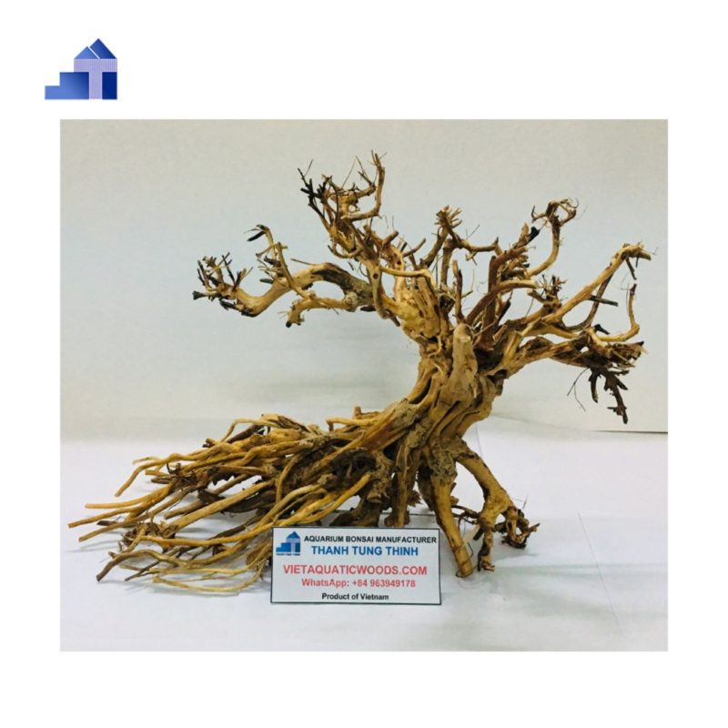 Bonsai driftwood supplier