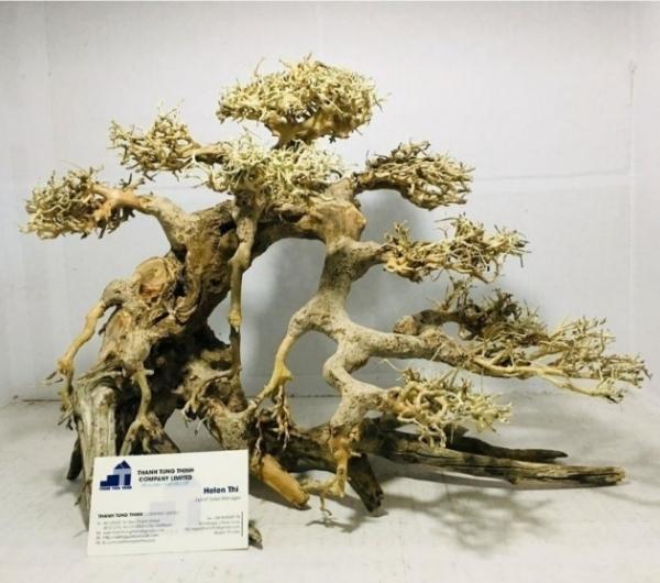 Medium Bonsai Driftwood Manufacturer