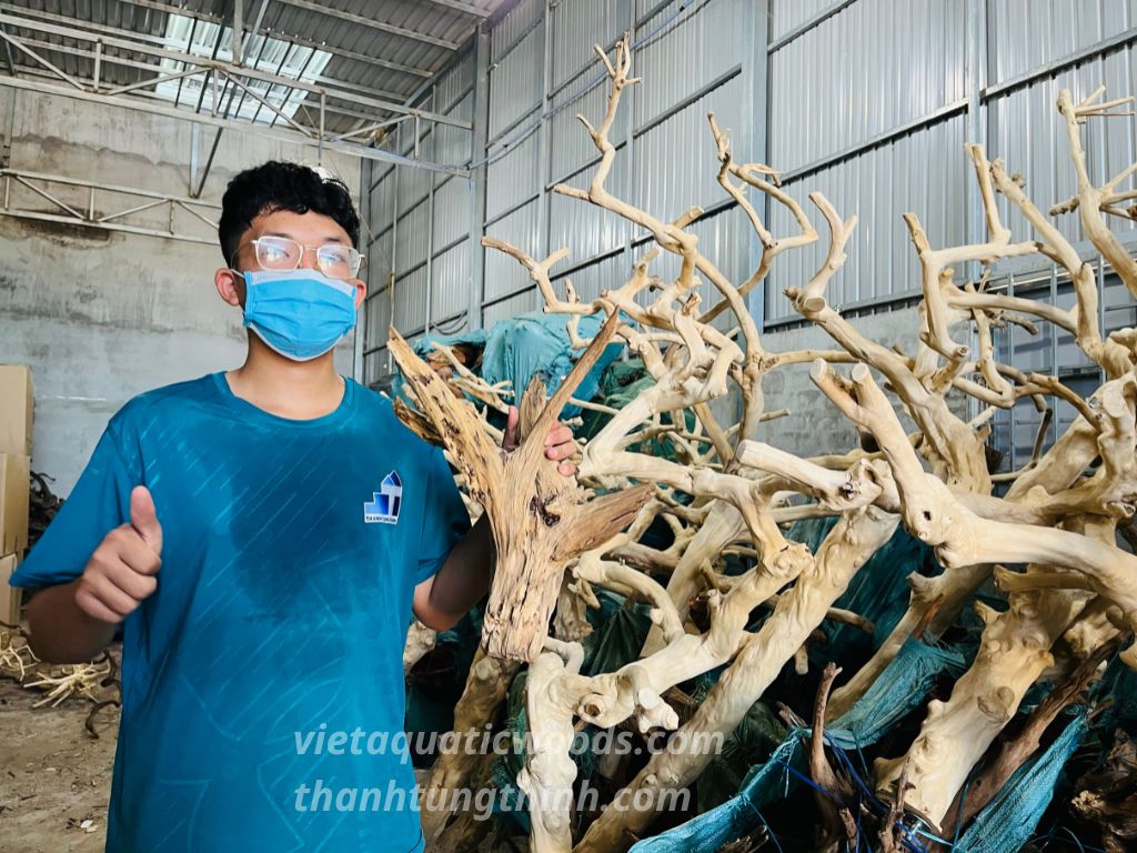 Java Wood Manufacturer