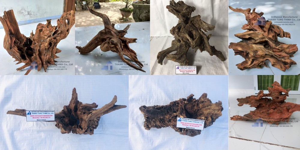 Pre-treated driftwood