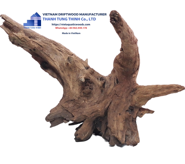 Huge Roots Natural Driftwood