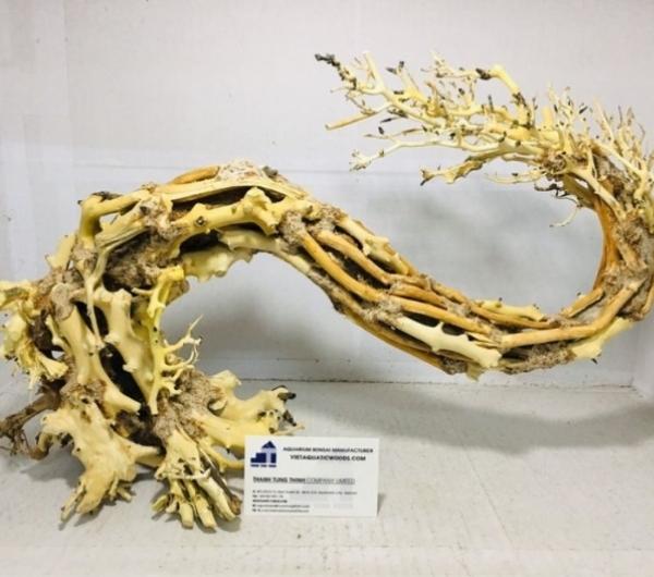 Medium Bonsai Driftwood Manufacturer
