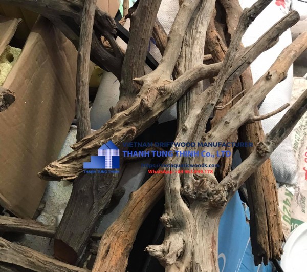 Linhsam Driftwood Supplier