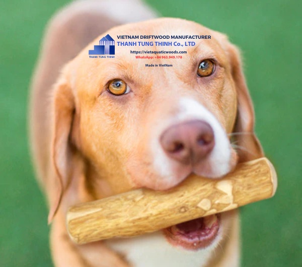 coffee wood dog chews manufacturer