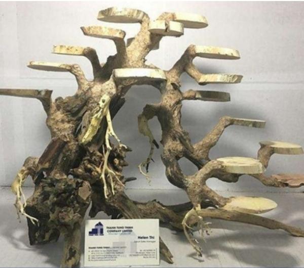 Medium Bonsai Driftwood Manufacturer