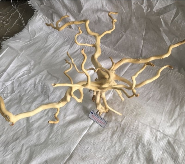 Do Quyen Driftwood Supplier