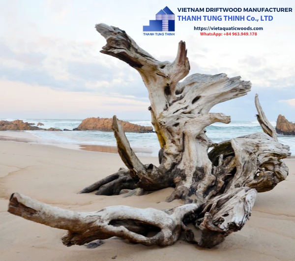 Driftwood Tree for Sale