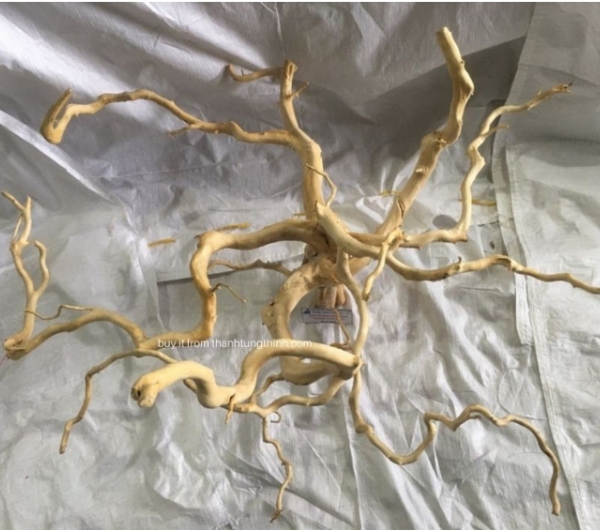 Do Quyen Driftwood Supplier