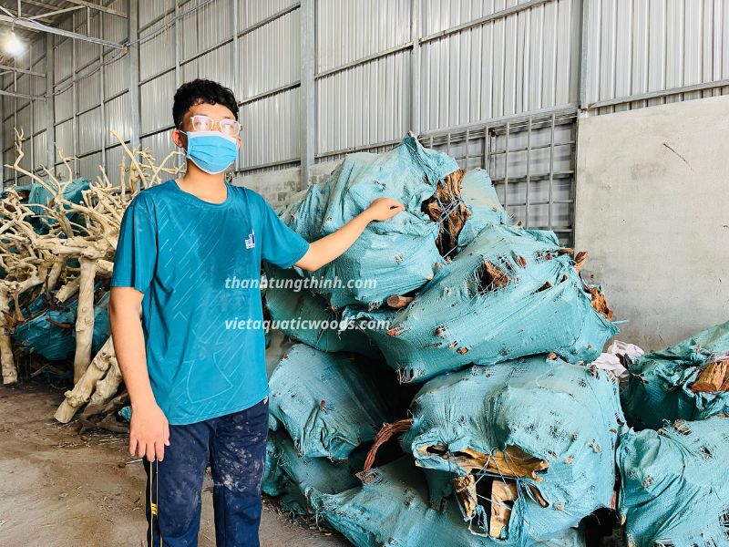 Thanh Tung Thinh is the trusted bonsai driftwood manufacturer in Vietnam