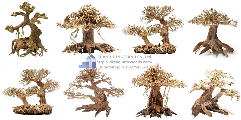 Supplier small bonsai driftwood
