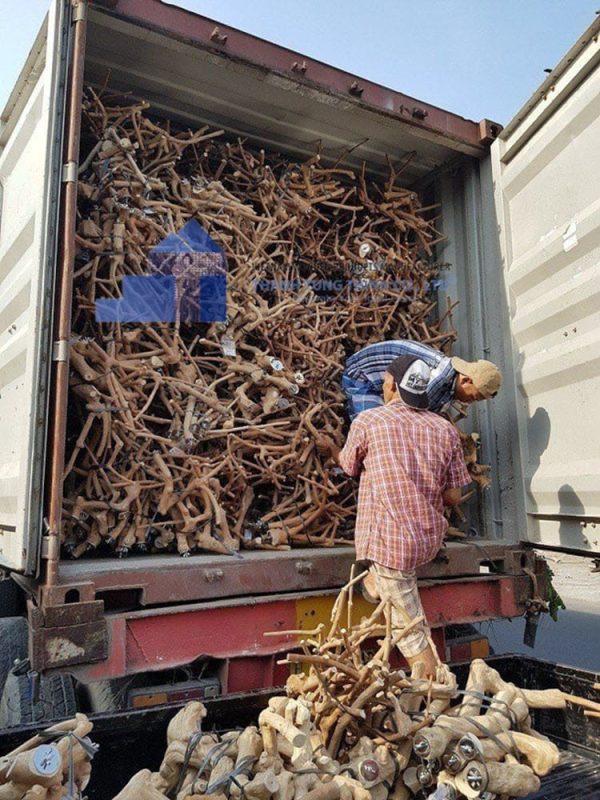 Wholesale driftwood business