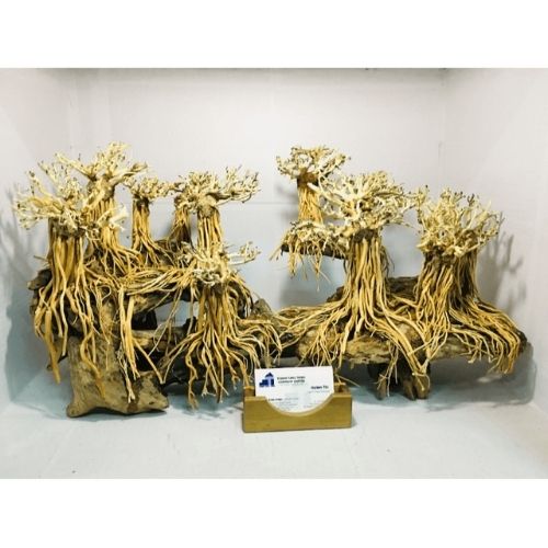 Bonsai driftwood supplier