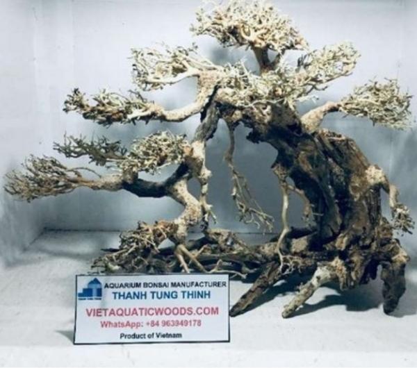 Medium Bonsai Driftwood Manufacturer