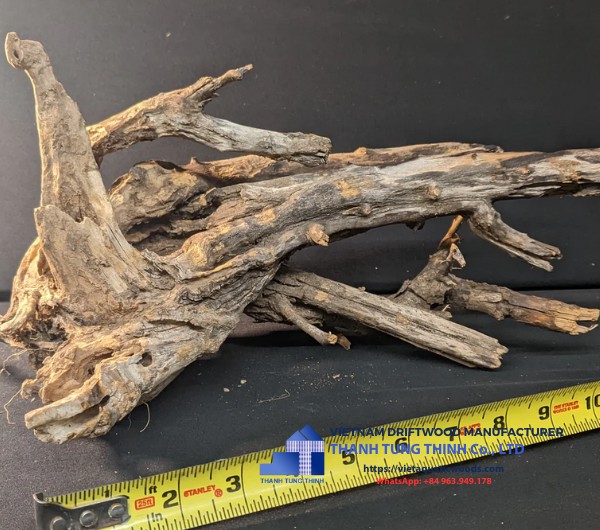 Comnguoi Driftwood Supplier