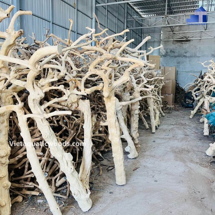 Java Wood Manufacturer
