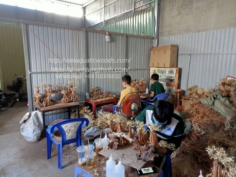 Wholesale Driftwood Suppliers