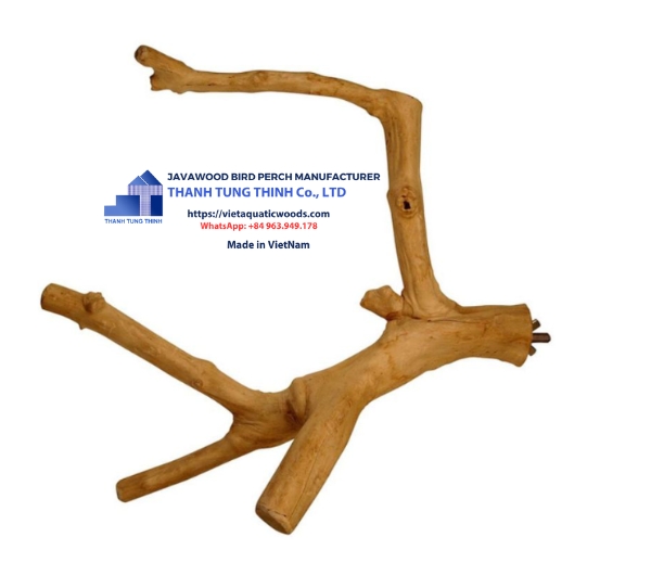 Coffee Wood Bird Perch Manufacturer: 7 Exquisite Natural Designs Loved by Global Markets