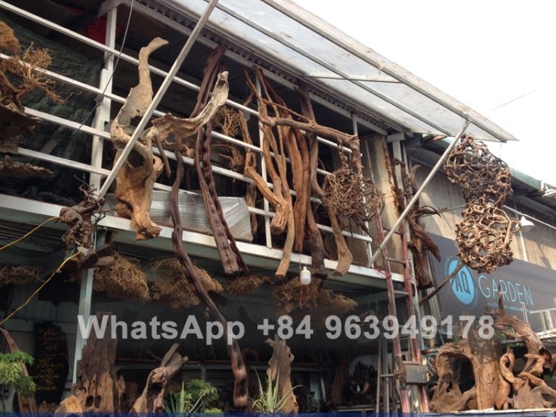 Driftwood Supplier 