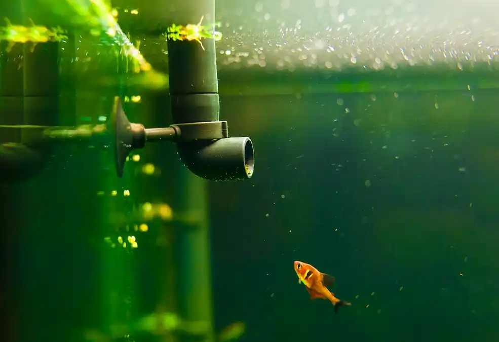 Aquarium Parts And Accessories