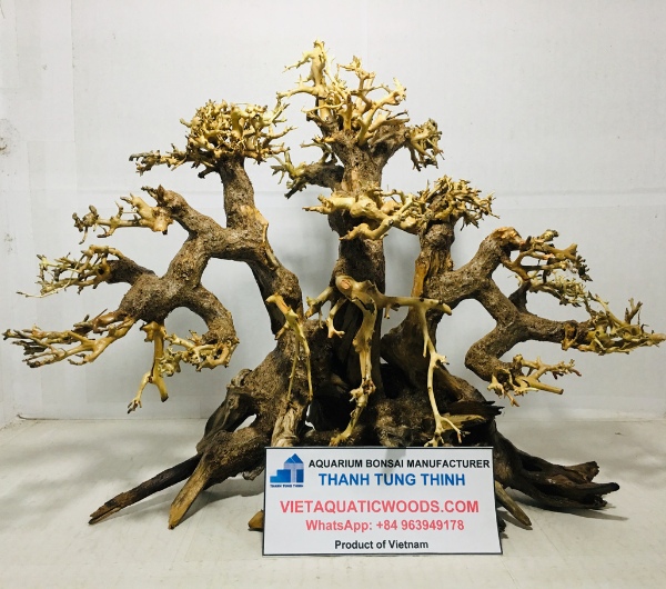 Large and Extra-Large Bonsai Driftwood