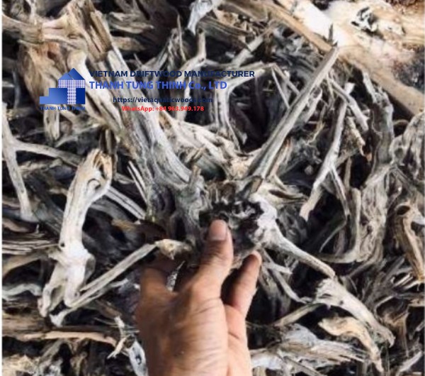 Comnguoi Driftwood Supplier