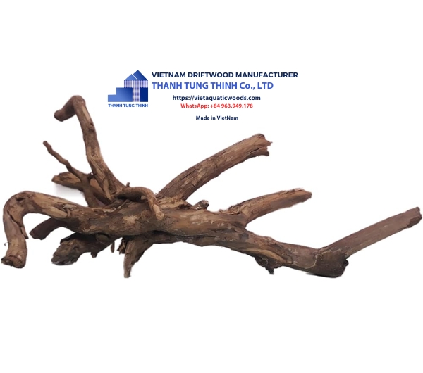 Huge Roots Natural Driftwood